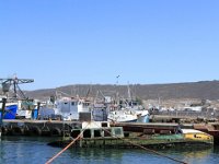 StHelenaBay012 : 2016, St Helena Bay, West Coast